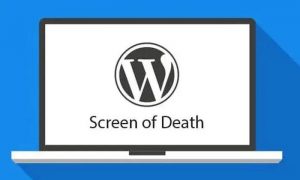Read more about the article How to fix wordpress white screen of death 2021